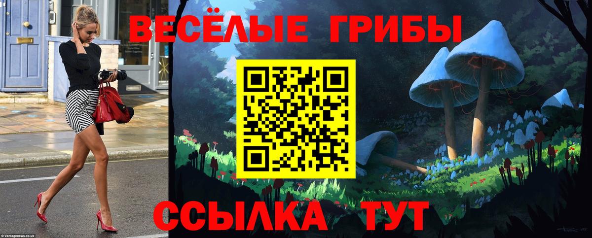 Саянск  Псилоцибиновые грибы ЛСД  Вход с VPN  Галлюциногенные грибы Psilocybine cubensis 